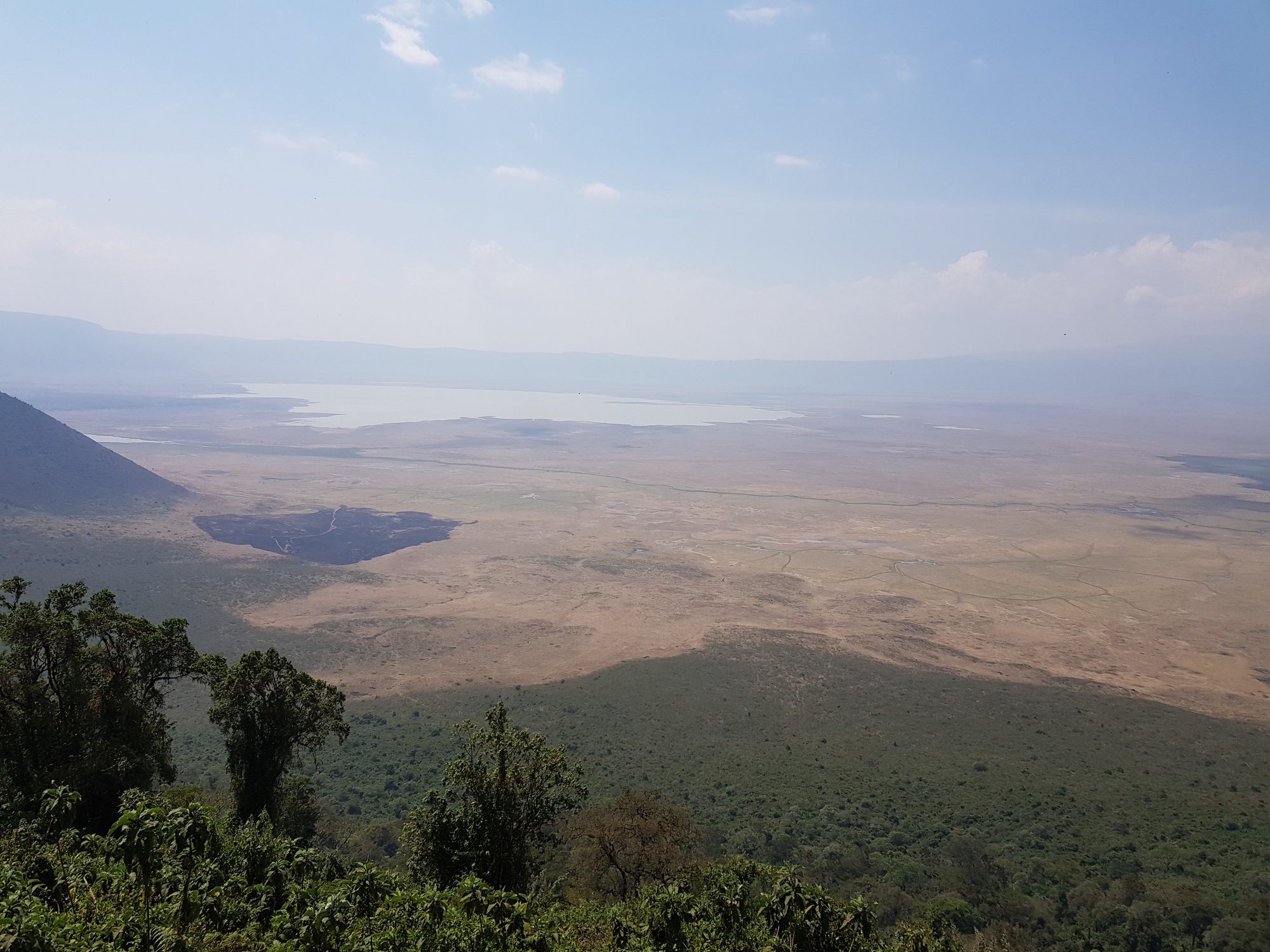 Vista desde el borde boscoso hacia el interior del cráter del Ngorongoro